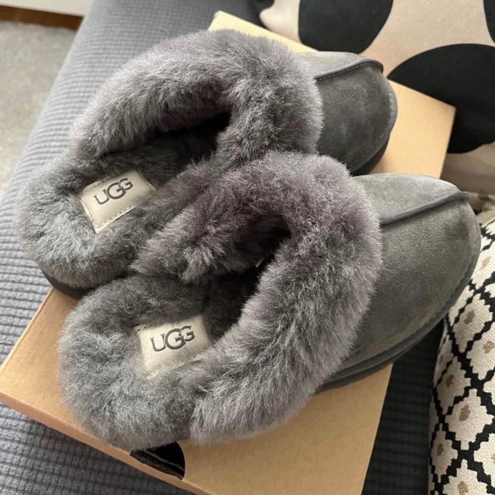 Ugg Disquette
